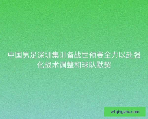 中国男足深圳集训备战世预赛全力以赴强化战术调整和球队默契
