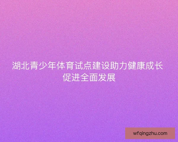湖北青少年体育试点建设助力健康成长 促进全面发展